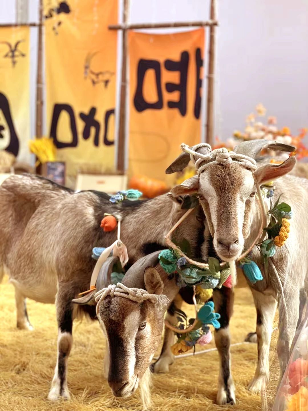 6萬人次入場，意向成交額32億元！第20屆&ldquo;織交會&rdquo;完美收官