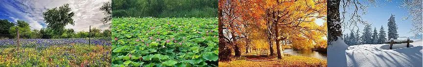 二十四節氣元素在服飾品上的創新與應用