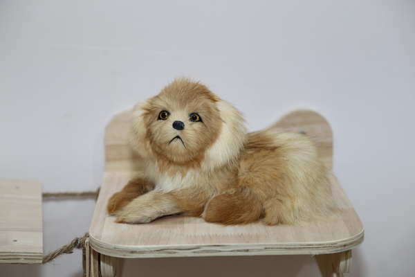 眾地家紡發力寵物用品， 倍受日商青睞