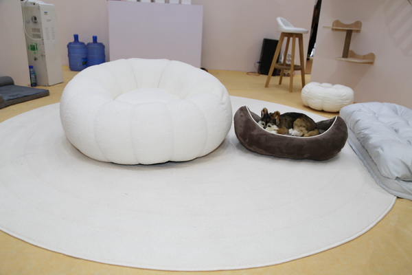 眾地家紡發力寵物用品， 倍受日商青睞