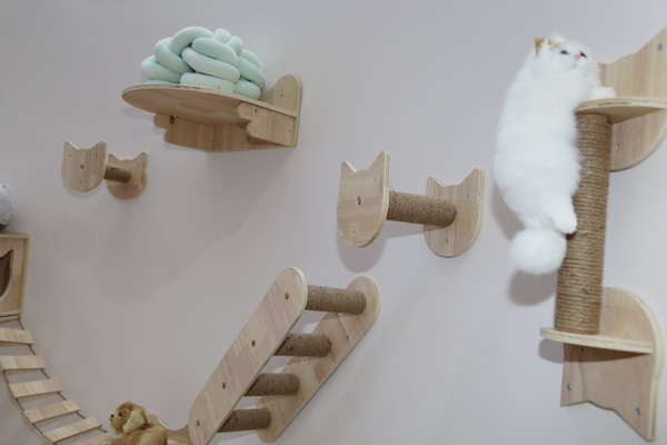 眾地家紡發力寵物用品， 倍受日商青睞