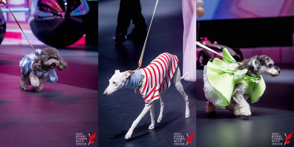 柯橋時尚綻放高光！20場品牌發布會傳遞原創設計之美