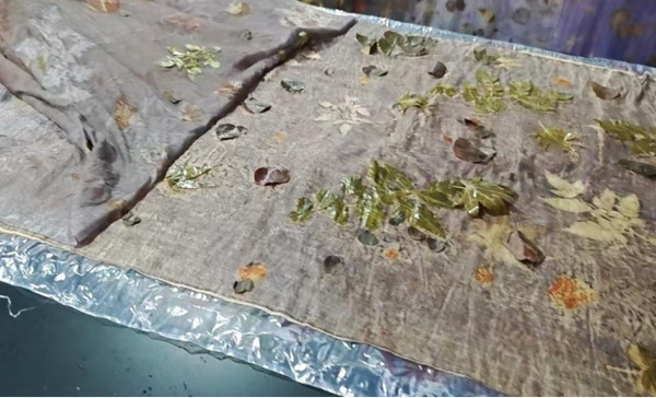 自然印記—染夏工坊課程招生!