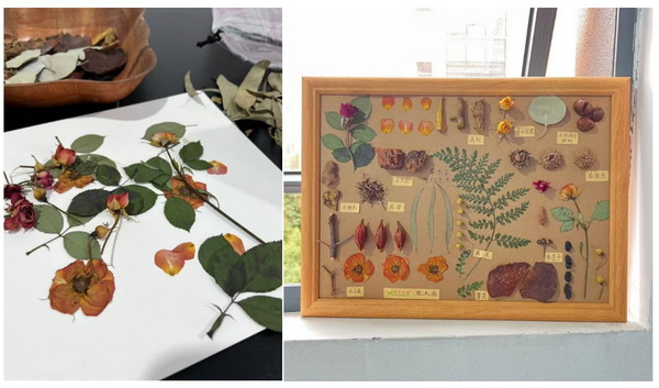 自然印記—染夏工坊課程招生!