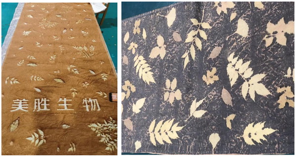 自然印記—染夏工坊課程招生!