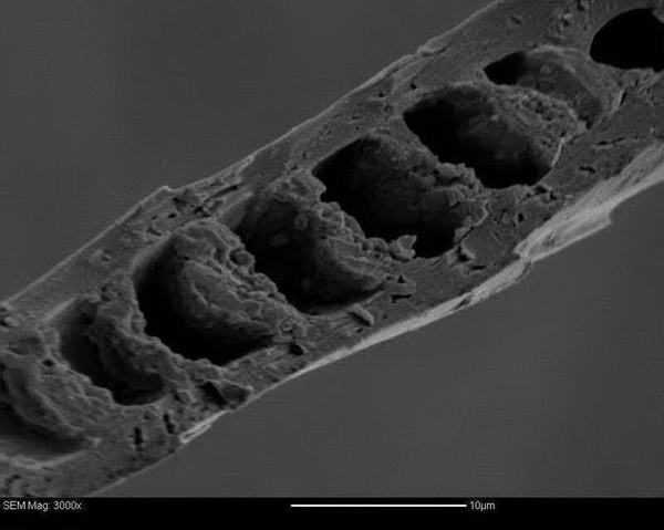 “伯麗奴(Perino™)"帚尾袋貂絨混紡紗亮相大灣區紡博會